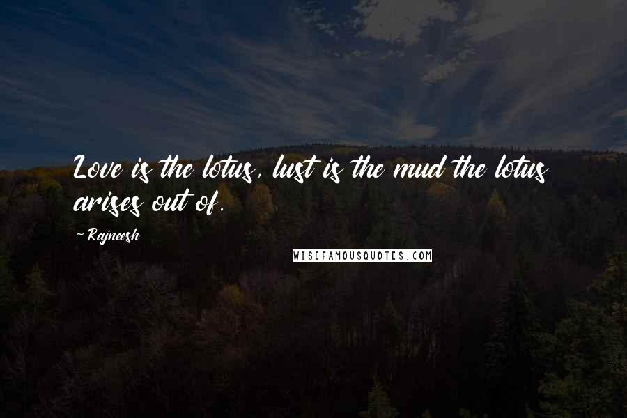Rajneesh Quotes: Love is the lotus, lust is the mud the lotus arises out of.