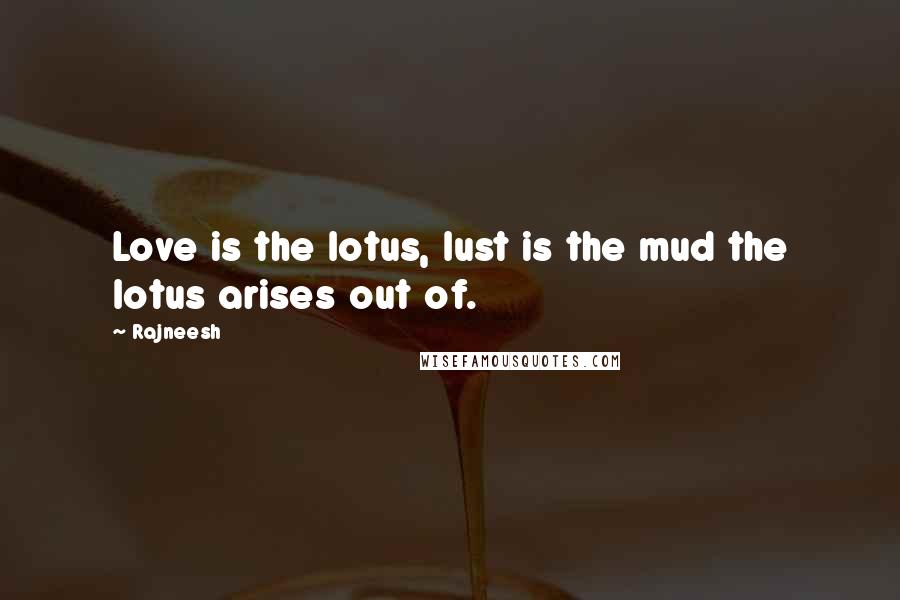 Rajneesh Quotes: Love is the lotus, lust is the mud the lotus arises out of.