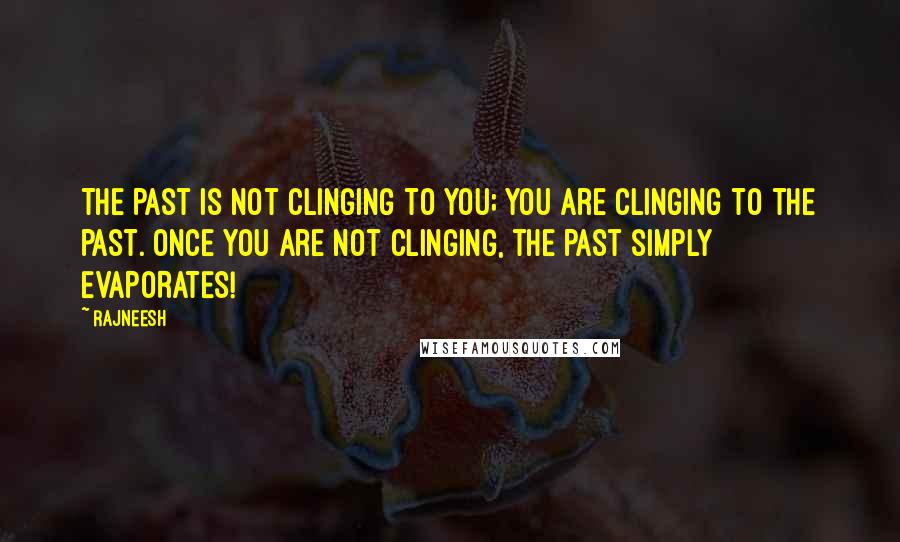 Rajneesh Quotes: The past is not clinging to you; YOU are clinging to the past. Once you are not clinging, the past simply EVAPORATES!