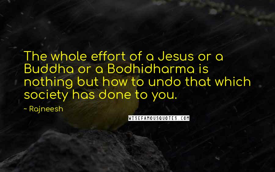 Rajneesh Quotes: The whole effort of a Jesus or a Buddha or a Bodhidharma is nothing but how to undo that which society has done to you.