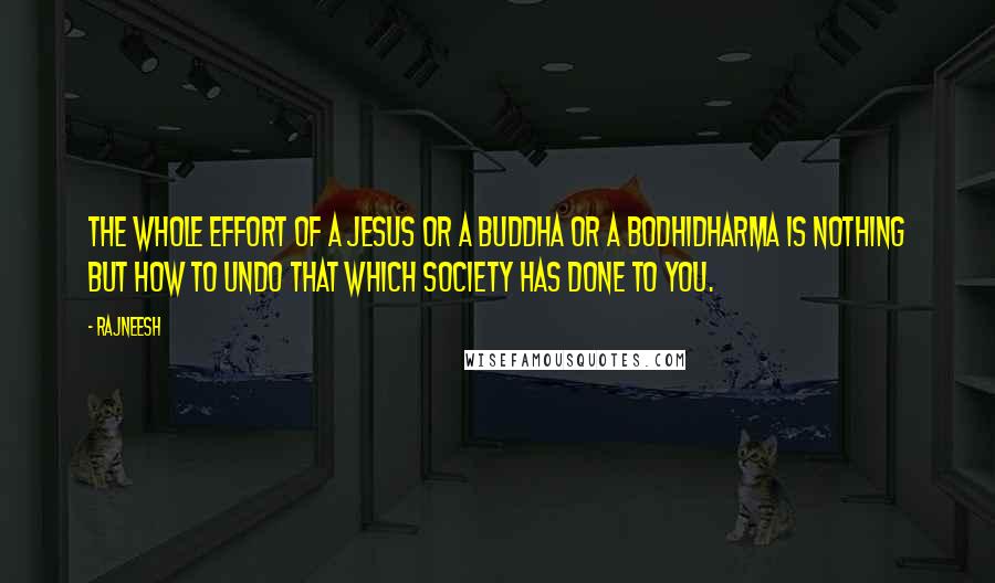 Rajneesh Quotes: The whole effort of a Jesus or a Buddha or a Bodhidharma is nothing but how to undo that which society has done to you.