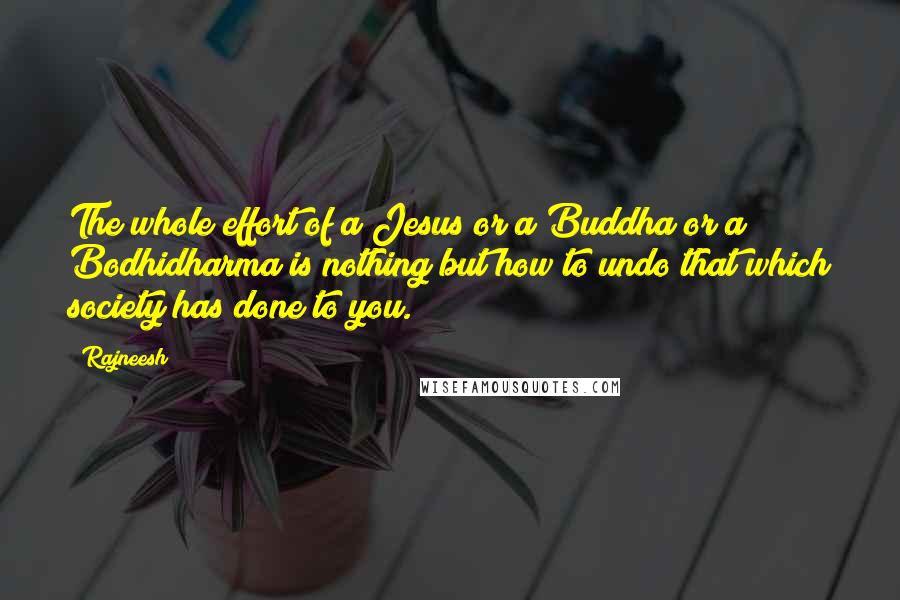 Rajneesh Quotes: The whole effort of a Jesus or a Buddha or a Bodhidharma is nothing but how to undo that which society has done to you.