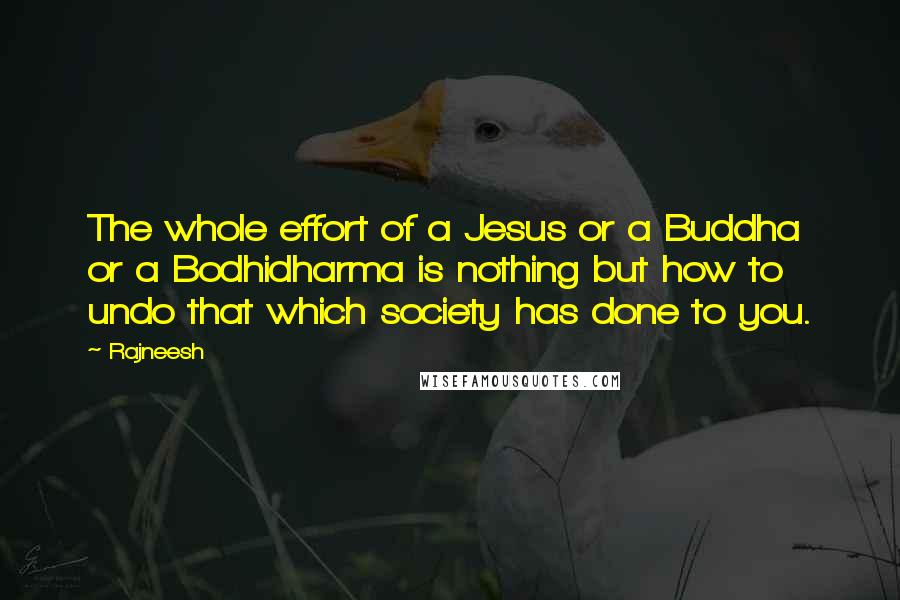 Rajneesh Quotes: The whole effort of a Jesus or a Buddha or a Bodhidharma is nothing but how to undo that which society has done to you.