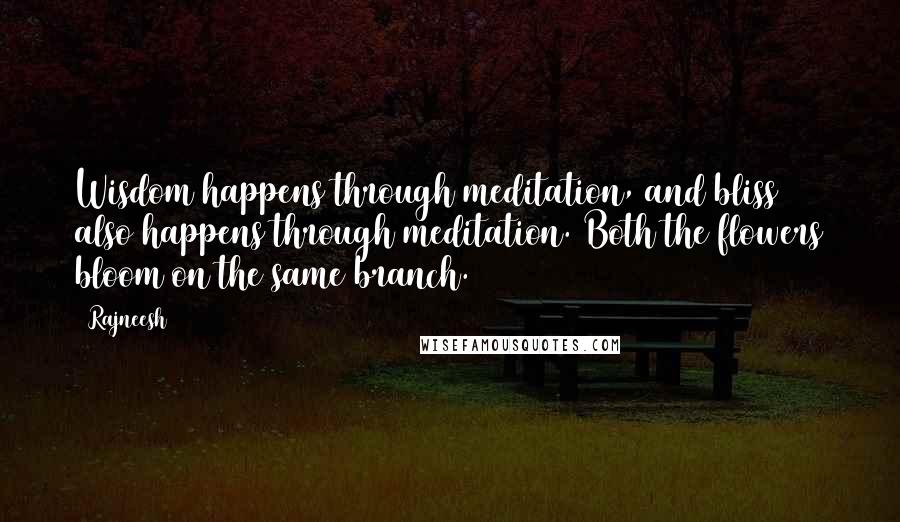 Rajneesh Quotes: Wisdom happens through meditation, and bliss also happens through meditation. Both the flowers bloom on the same branch.