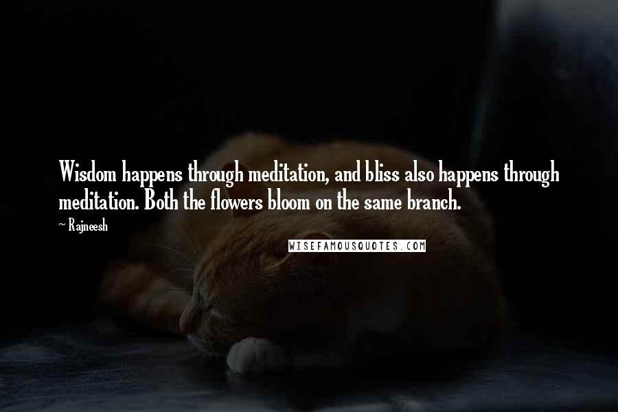 Rajneesh Quotes: Wisdom happens through meditation, and bliss also happens through meditation. Both the flowers bloom on the same branch.