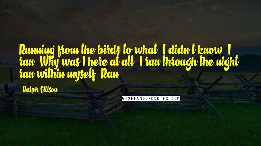 Ralph Ellison Quotes: Running from the birds to what, I didn't know. I ran. Why was I here at all? I ran through the night, ran within myself. Ran.