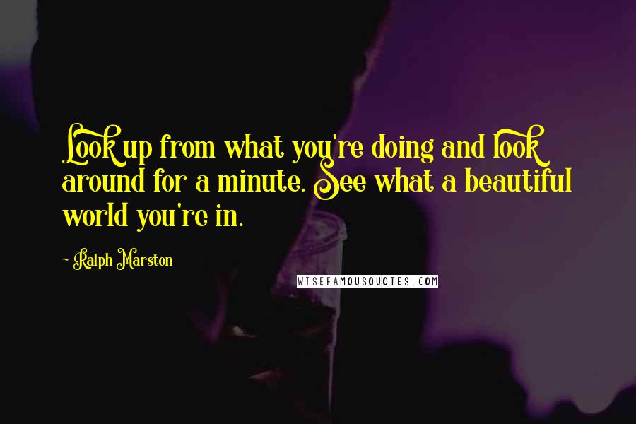 Ralph Marston Quotes: Look up from what you're doing and look around for a minute. See what a beautiful world you're in.