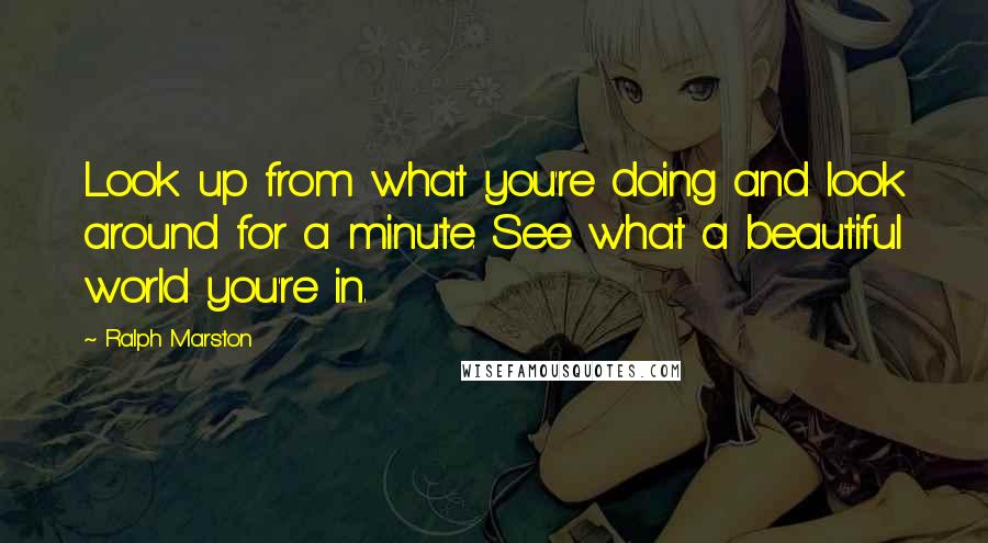 Ralph Marston Quotes: Look up from what you're doing and look around for a minute. See what a beautiful world you're in.