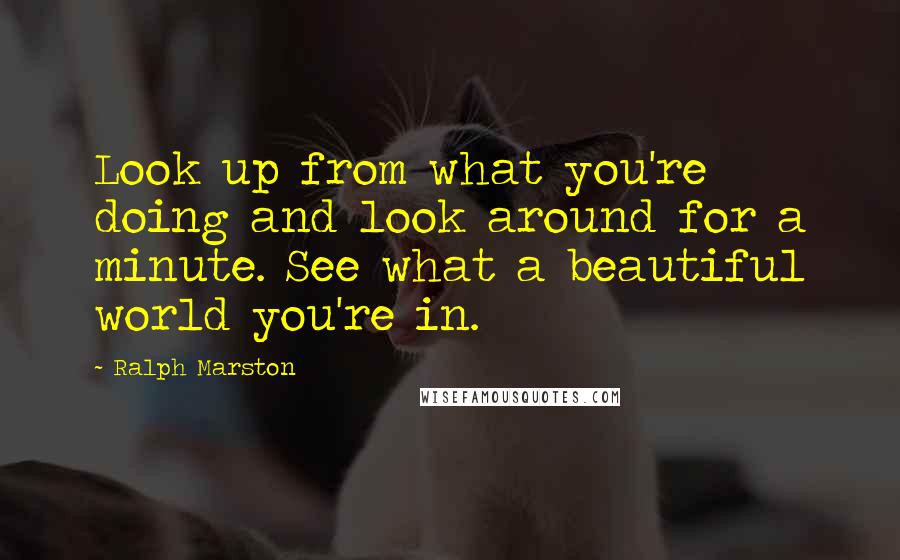 Ralph Marston Quotes: Look up from what you're doing and look around for a minute. See what a beautiful world you're in.