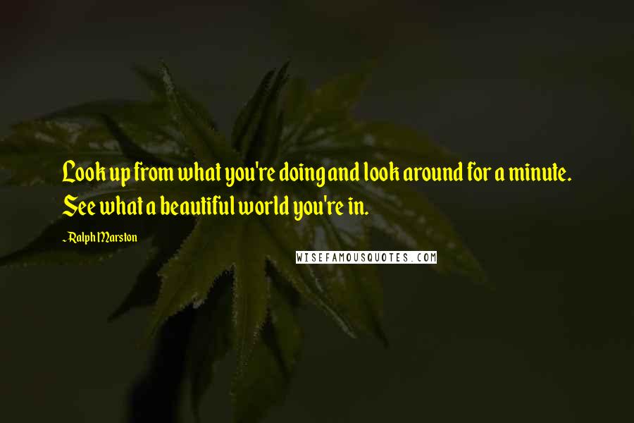 Ralph Marston Quotes: Look up from what you're doing and look around for a minute. See what a beautiful world you're in.