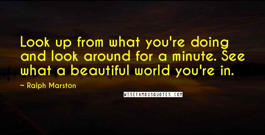 Ralph Marston Quotes: Look up from what you're doing and look around for a minute. See what a beautiful world you're in.