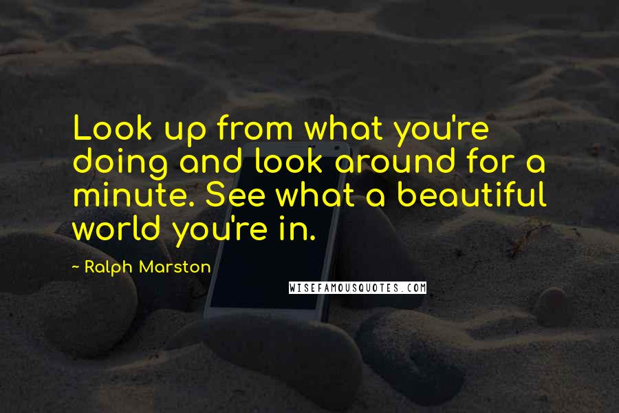 Ralph Marston Quotes: Look up from what you're doing and look around for a minute. See what a beautiful world you're in.