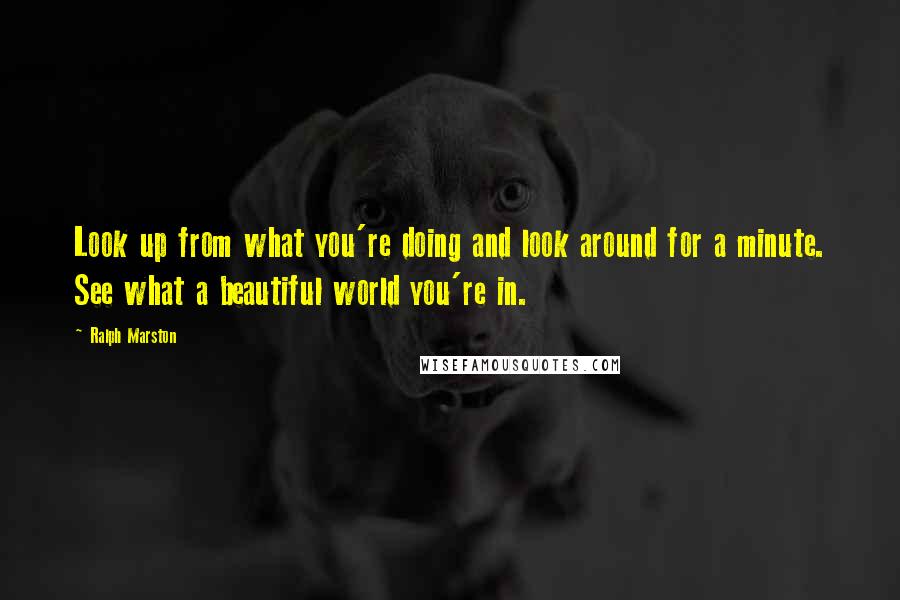 Ralph Marston Quotes: Look up from what you're doing and look around for a minute. See what a beautiful world you're in.