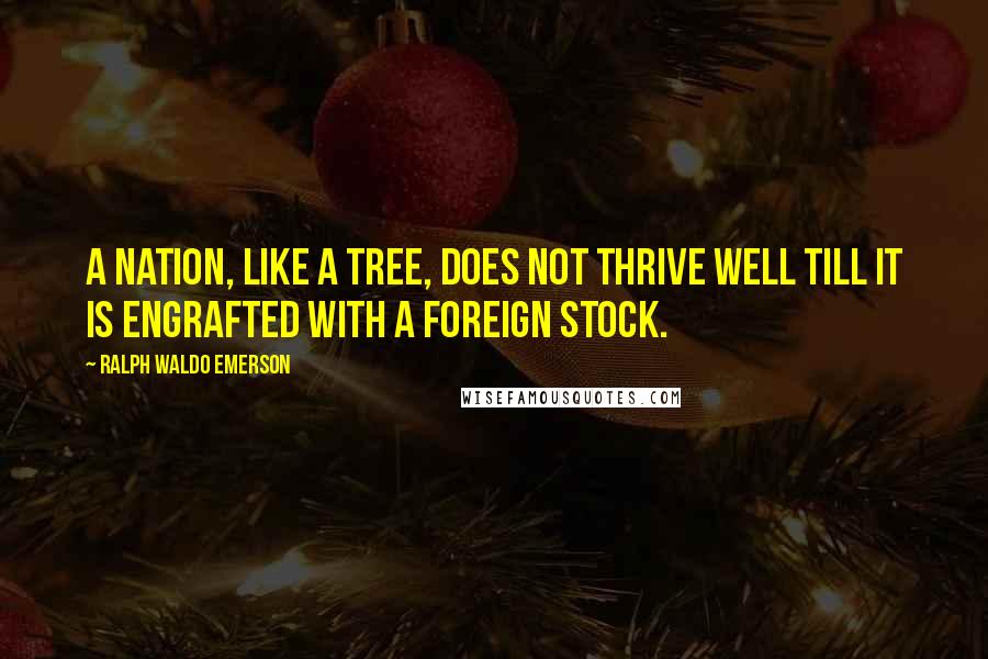 Ralph Waldo Emerson Quotes: A nation, like a tree, does not thrive well till it is engrafted with a foreign stock.