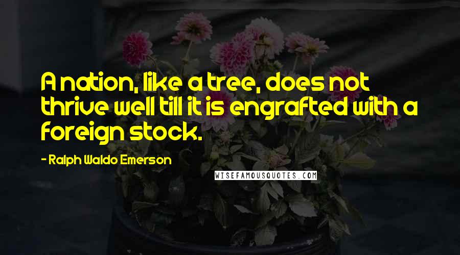 Ralph Waldo Emerson Quotes: A nation, like a tree, does not thrive well till it is engrafted with a foreign stock.