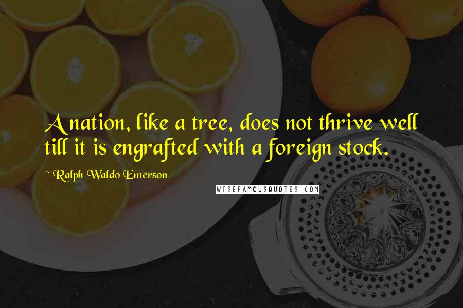 Ralph Waldo Emerson Quotes: A nation, like a tree, does not thrive well till it is engrafted with a foreign stock.