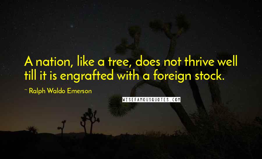 Ralph Waldo Emerson Quotes: A nation, like a tree, does not thrive well till it is engrafted with a foreign stock.