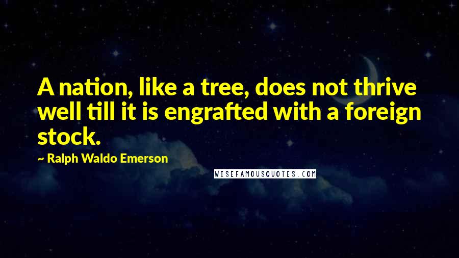 Ralph Waldo Emerson Quotes: A nation, like a tree, does not thrive well till it is engrafted with a foreign stock.