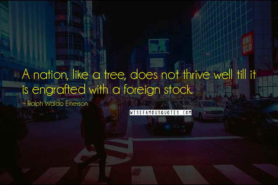 Ralph Waldo Emerson Quotes: A nation, like a tree, does not thrive well till it is engrafted with a foreign stock.