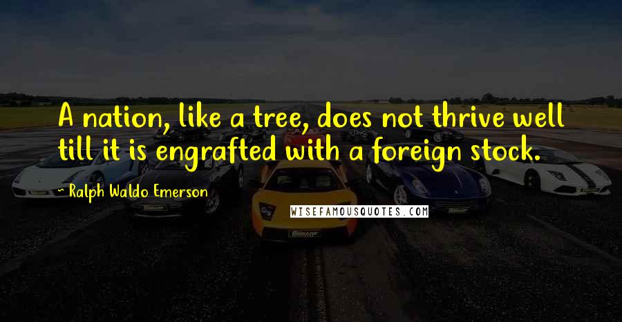 Ralph Waldo Emerson Quotes: A nation, like a tree, does not thrive well till it is engrafted with a foreign stock.