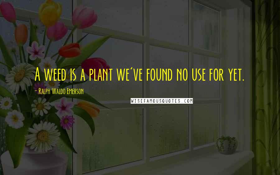 Ralph Waldo Emerson Quotes: A weed is a plant we've found no use for yet.