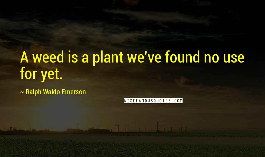 Ralph Waldo Emerson Quotes: A weed is a plant we've found no use for yet.