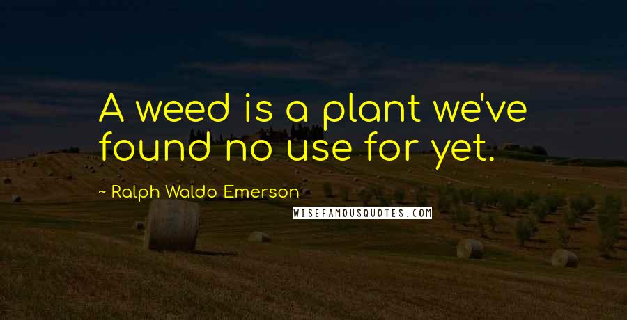 Ralph Waldo Emerson Quotes: A weed is a plant we've found no use for yet.