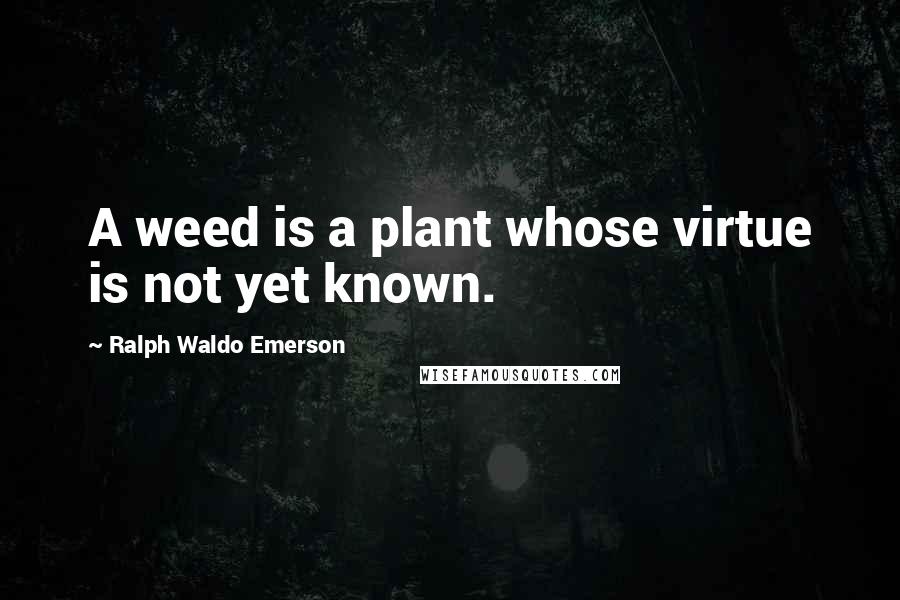 Ralph Waldo Emerson Quotes: A weed is a plant whose virtue is not yet known.