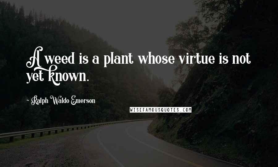 Ralph Waldo Emerson Quotes: A weed is a plant whose virtue is not yet known.