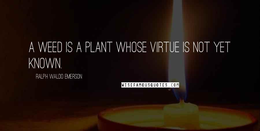 Ralph Waldo Emerson Quotes: A weed is a plant whose virtue is not yet known.