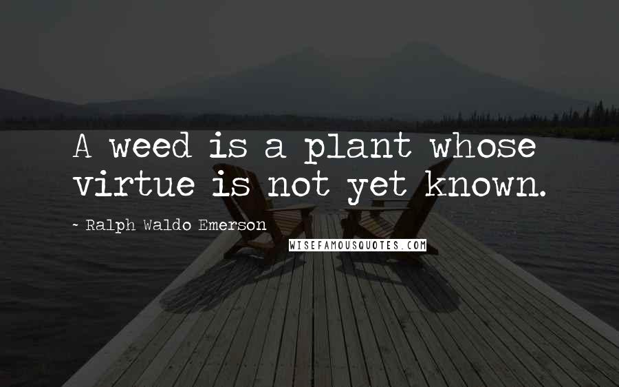 Ralph Waldo Emerson Quotes: A weed is a plant whose virtue is not yet known.
