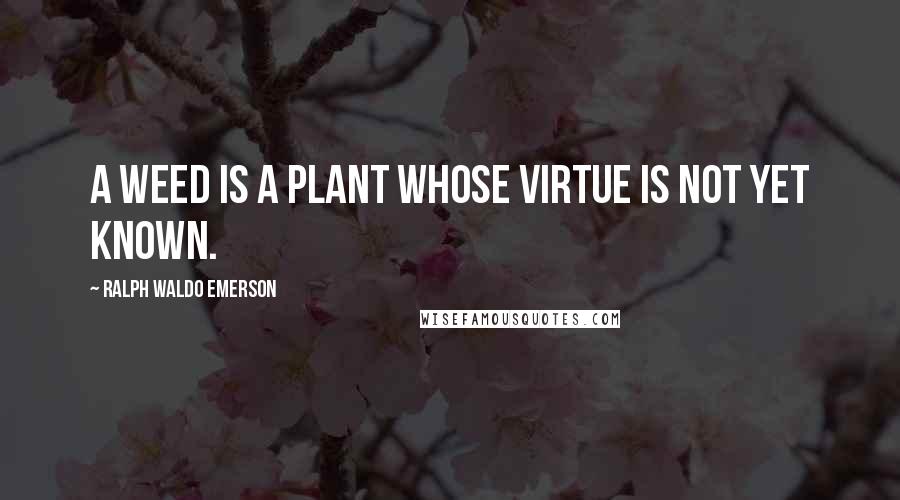 Ralph Waldo Emerson Quotes: A weed is a plant whose virtue is not yet known.