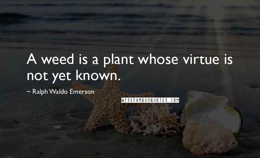 Ralph Waldo Emerson Quotes: A weed is a plant whose virtue is not yet known.