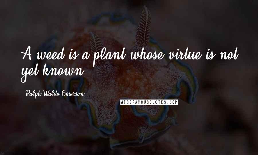 Ralph Waldo Emerson Quotes: A weed is a plant whose virtue is not yet known.