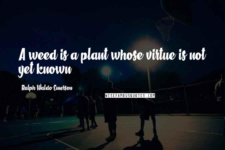 Ralph Waldo Emerson Quotes: A weed is a plant whose virtue is not yet known.