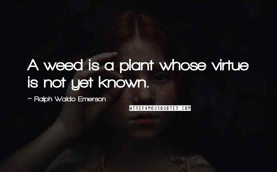 Ralph Waldo Emerson Quotes: A weed is a plant whose virtue is not yet known.