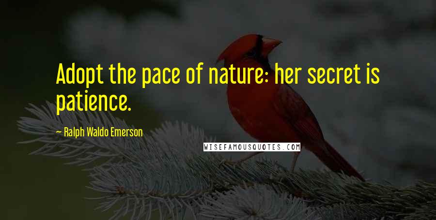 Ralph Waldo Emerson Quotes: Adopt the pace of nature: her secret is patience.