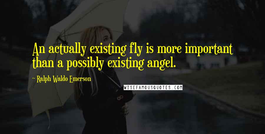 Ralph Waldo Emerson Quotes: An actually existing fly is more important than a possibly existing angel.