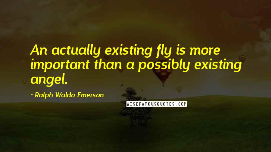 Ralph Waldo Emerson Quotes: An actually existing fly is more important than a possibly existing angel.