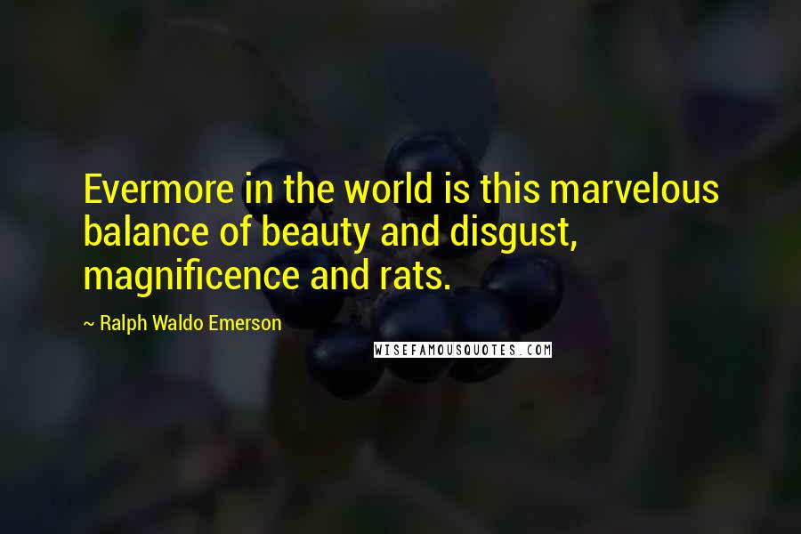 Ralph Waldo Emerson Quotes: Evermore in the world is this marvelous balance of beauty and disgust, magnificence and rats.