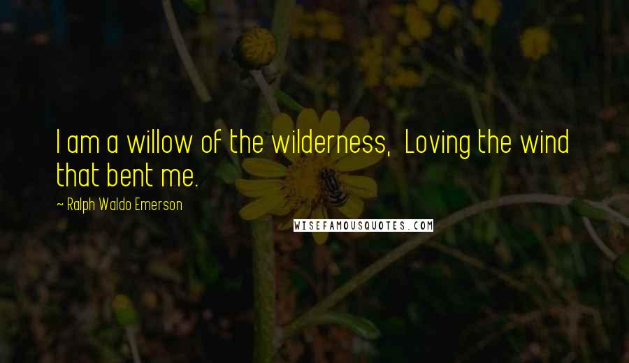 Ralph Waldo Emerson Quotes: I am a willow of the wilderness, Loving the wind that bent me.