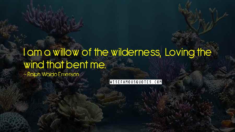 Ralph Waldo Emerson Quotes: I am a willow of the wilderness, Loving the wind that bent me.