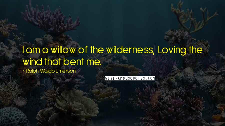 Ralph Waldo Emerson Quotes: I am a willow of the wilderness,  Loving the wind that bent me.