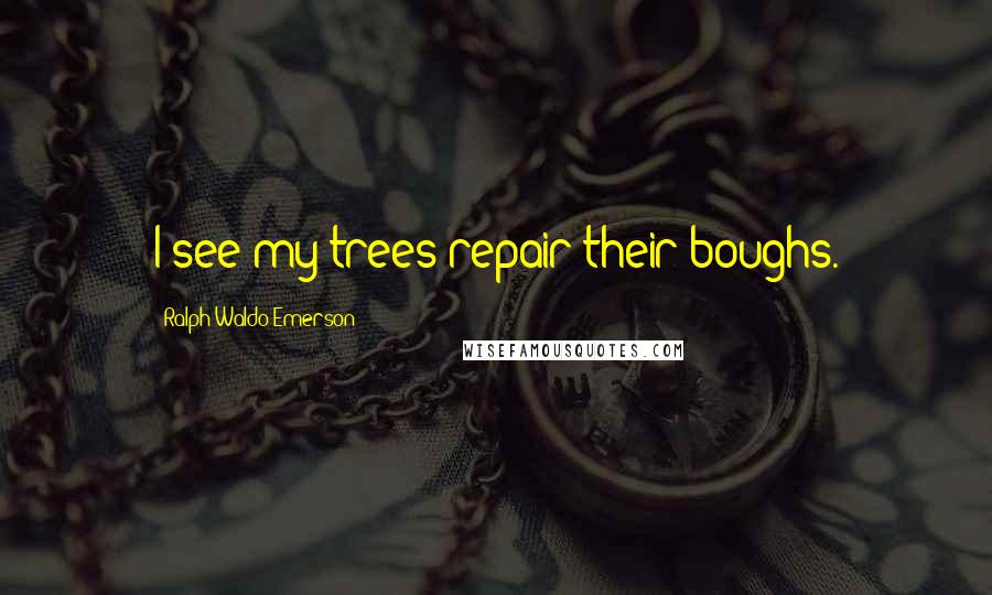 Ralph Waldo Emerson Quotes: I see my trees repair their boughs.