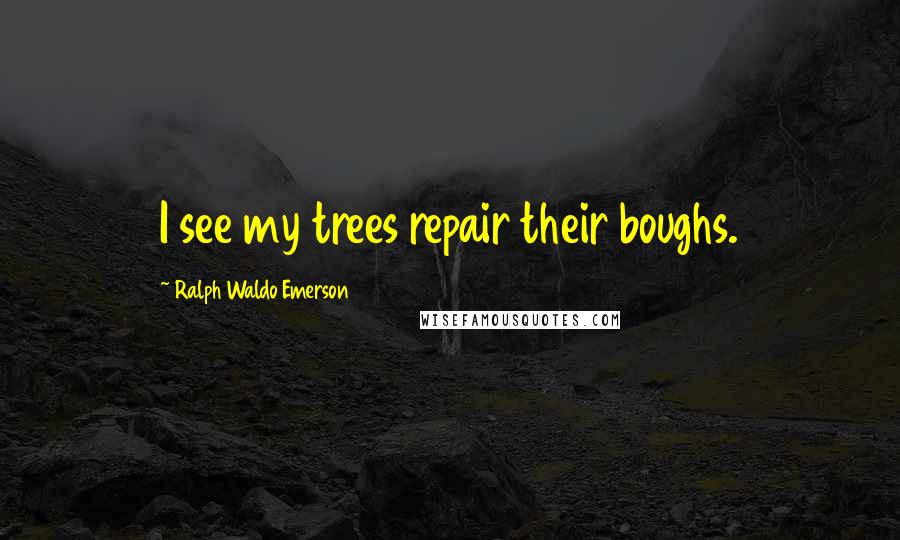 Ralph Waldo Emerson Quotes: I see my trees repair their boughs.