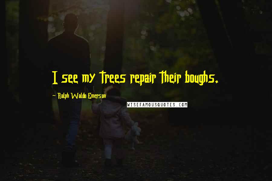 Ralph Waldo Emerson Quotes: I see my trees repair their boughs.