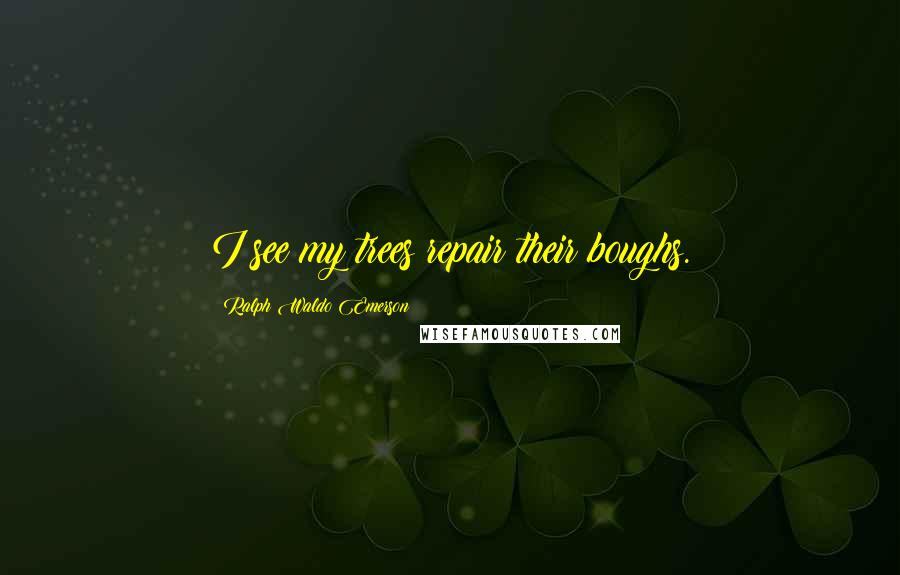 Ralph Waldo Emerson Quotes: I see my trees repair their boughs.