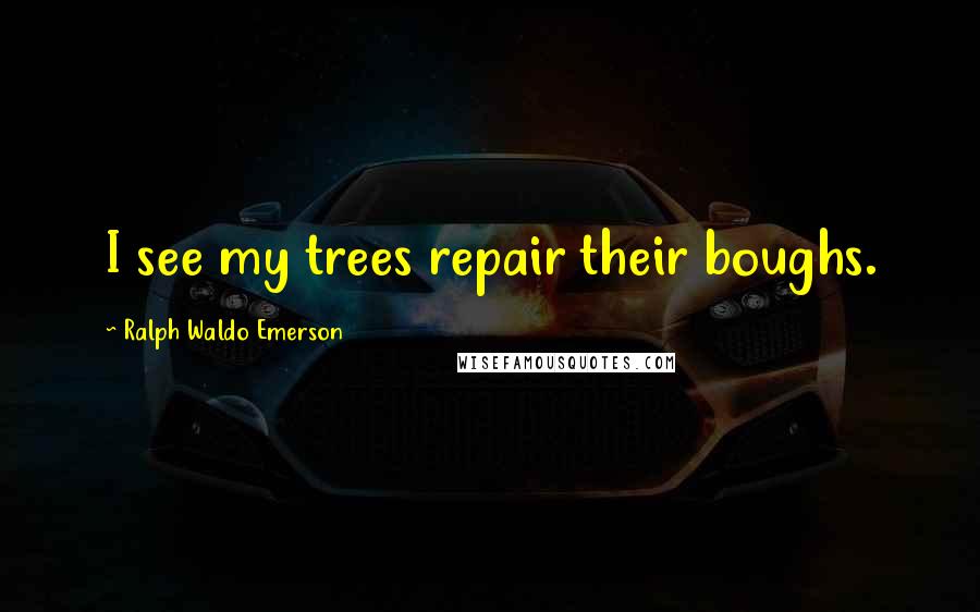 Ralph Waldo Emerson Quotes: I see my trees repair their boughs.