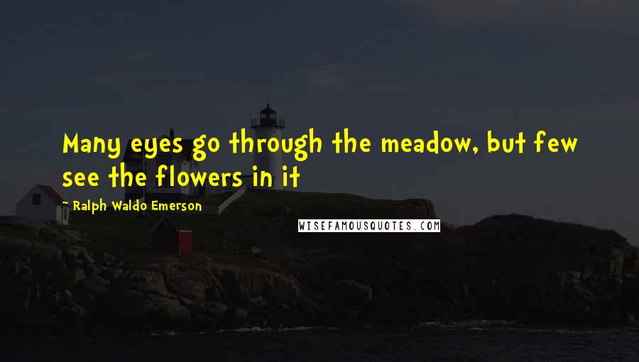 Ralph Waldo Emerson Quotes: Many eyes go through the meadow, but few see the flowers in it