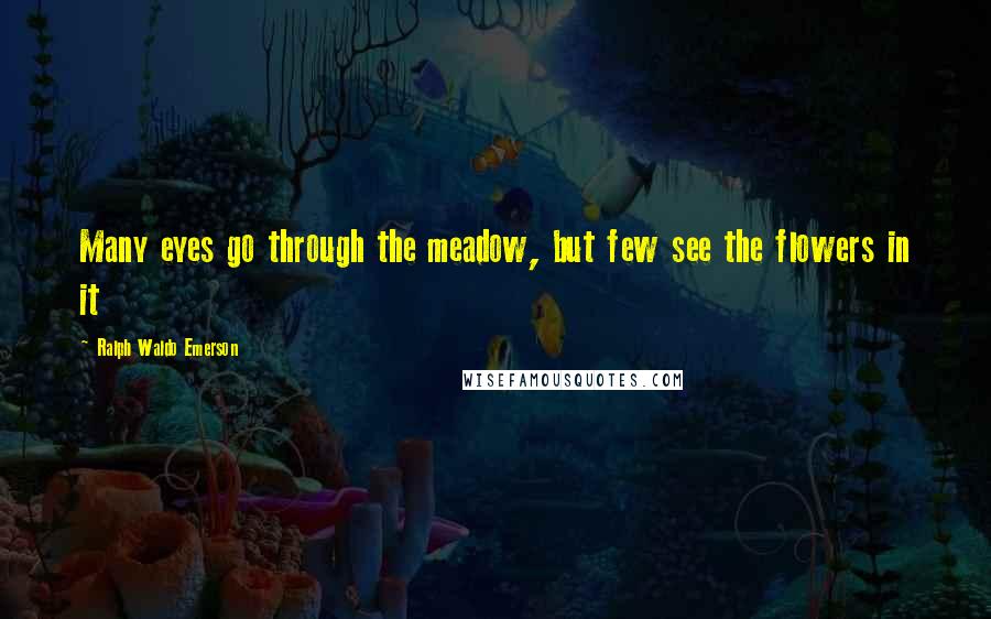 Ralph Waldo Emerson Quotes: Many eyes go through the meadow, but few see the flowers in it